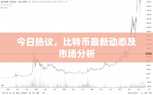 今日热议，比特币最新动态及市场分析