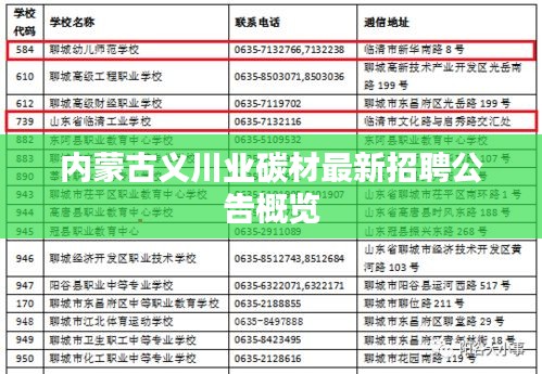 内蒙古义川业碳材最新招聘公告概览