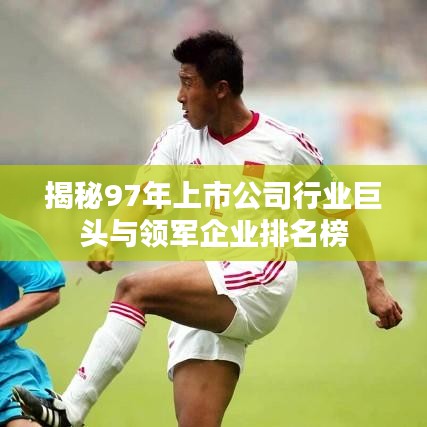 揭秘97年上市公司行业巨头与领军企业排名榜