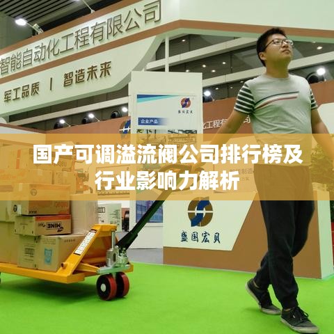 国产可调溢流阀公司排行榜及行业影响力解析