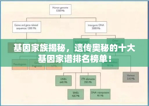 基因家族揭秘，遗传奥秘的十大基因家谱排名榜单！