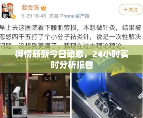 舆情最新今日动态，24小时实时分析报告