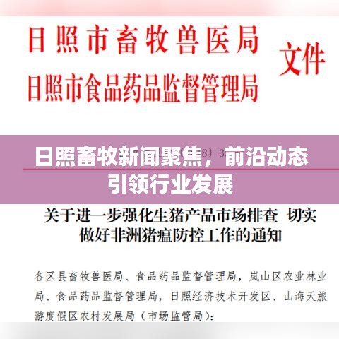 日照畜牧新闻聚焦，前沿动态引领行业发展