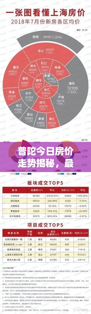 普陀今日房价走势揭秘，最新分析报告呈现！