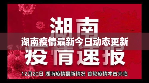 湖南疫情最新今日动态更新