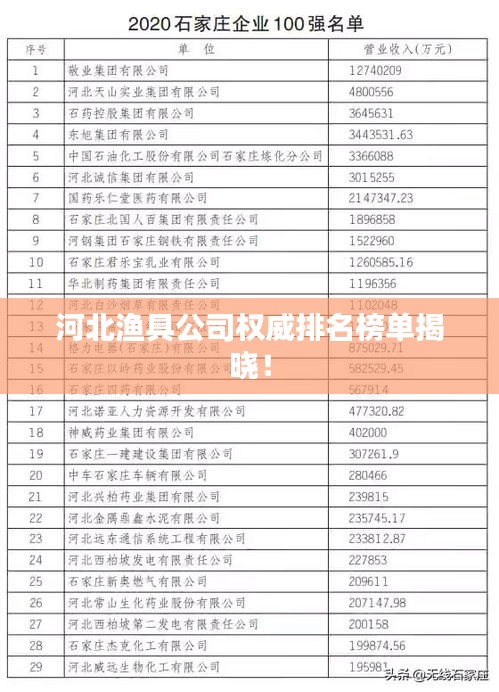 河北渔具公司权威排名榜单揭晓！