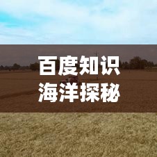 百度知识海洋探秘，明月照耀下的无尽智慧之源