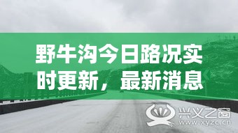 野牛沟今日路况实时更新，最新消息一览