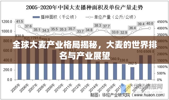 全球大麦产业格局揭秘，大麦的世界排名与产业展望