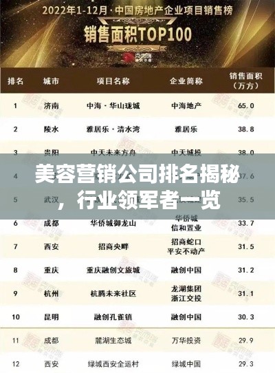 美容营销公司排名揭秘，行业领军者一览