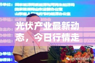 光伏产业最新动态，今日行情走势深度解析