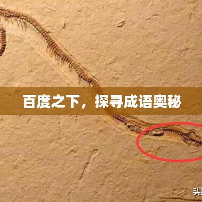 百度之下，探寻成语奥秘