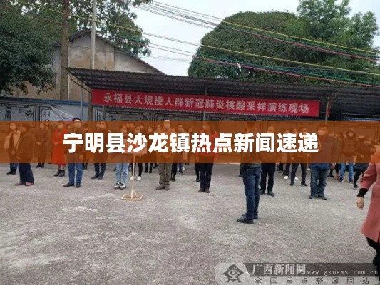 宁明县沙龙镇热点新闻速递