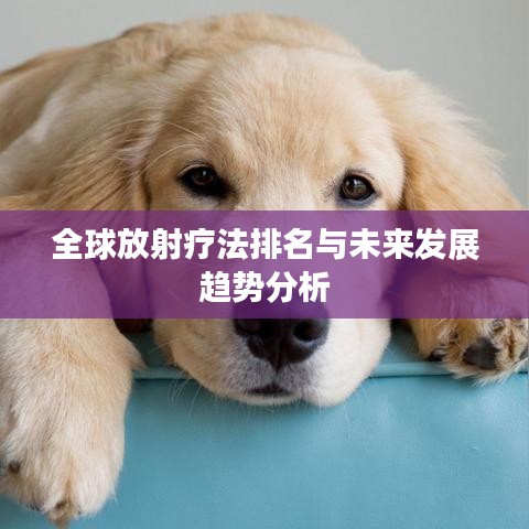 全球放射疗法排名与未来发展趋势分析