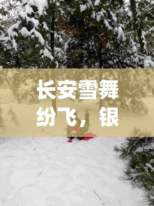 长安雪舞纷飞，银装世界醉人心