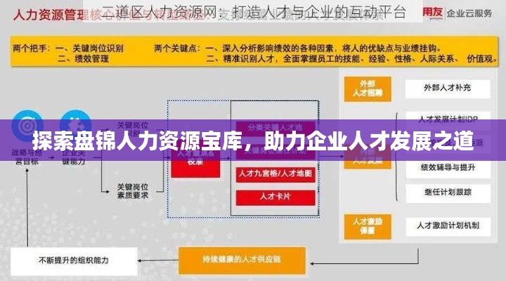 探索盘锦人力资源宝库，助力企业人才发展之道