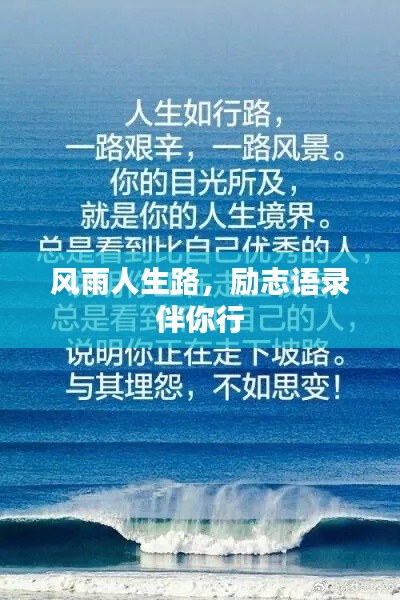 风雨人生路，励志语录伴你行