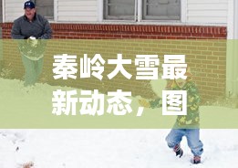 秦岭大雪最新动态，图片欣赏与冬季美景深度探索