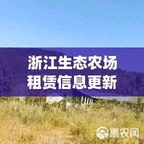 浙江生态农场租赁信息更新，最新动态速递