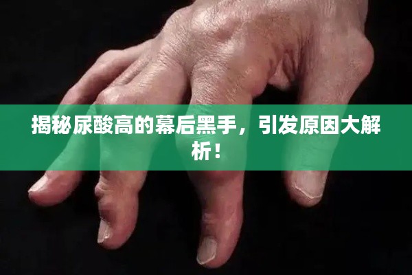 揭秘尿酸高的幕后黑手，引发原因大解析！