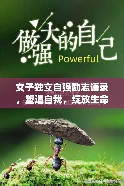 女子独立自强励志语录，塑造自我，绽放生命独特魅力
