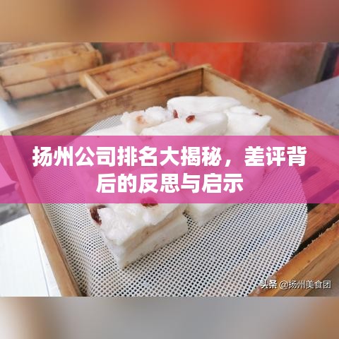 扬州公司排名大揭秘，差评背后的反思与启示