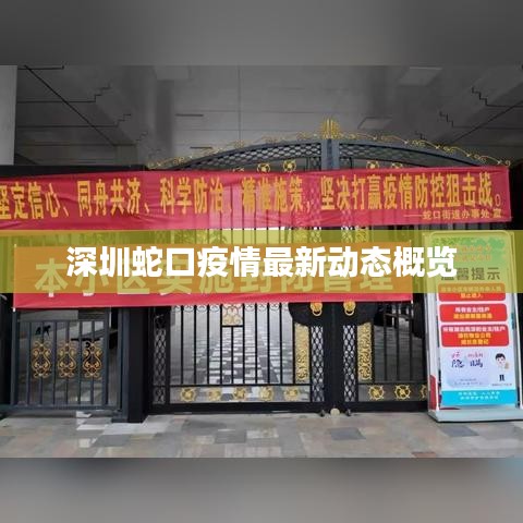 深圳蛇口疫情最新动态概览