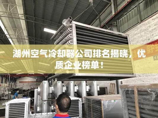 湖州空气冷却器公司排名揭晓，优质企业榜单！