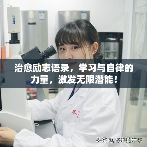 治愈励志语录，学习与自律的力量，激发无限潜能！