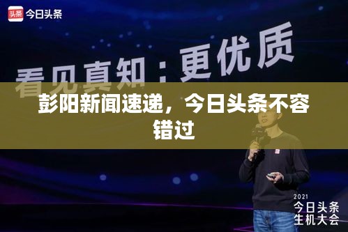彭阳新闻速递，今日头条不容错过