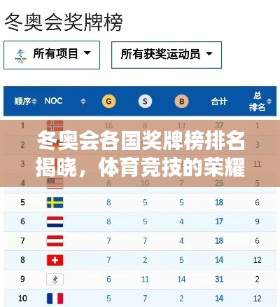 冬奥会各国奖牌榜排名揭晓，体育竞技的荣耀瞬间
