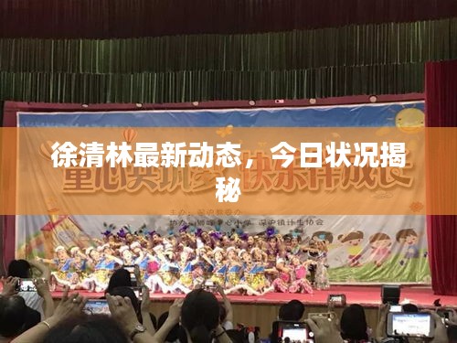 徐清林最新动态，今日状况揭秘