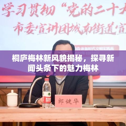 桐庐梅林新风貌揭秘，探寻新闻头条下的魅力梅林
