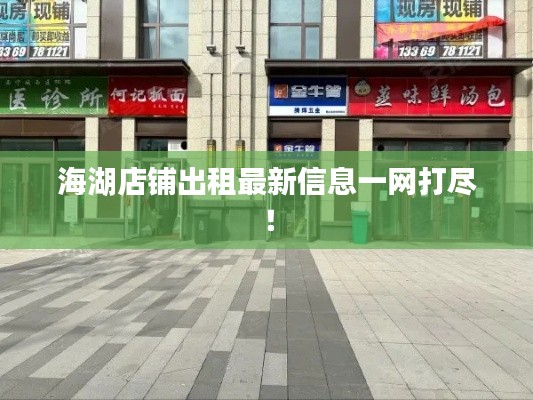 海湖店铺出租最新信息一网打尽！