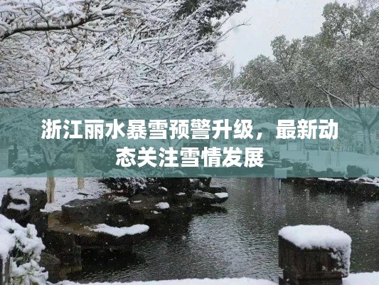 浙江丽水暴雪预警升级，最新动态关注雪情发展
