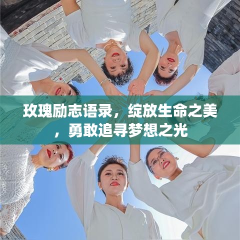 玫瑰励志语录，绽放生命之美，勇敢追寻梦想之光
