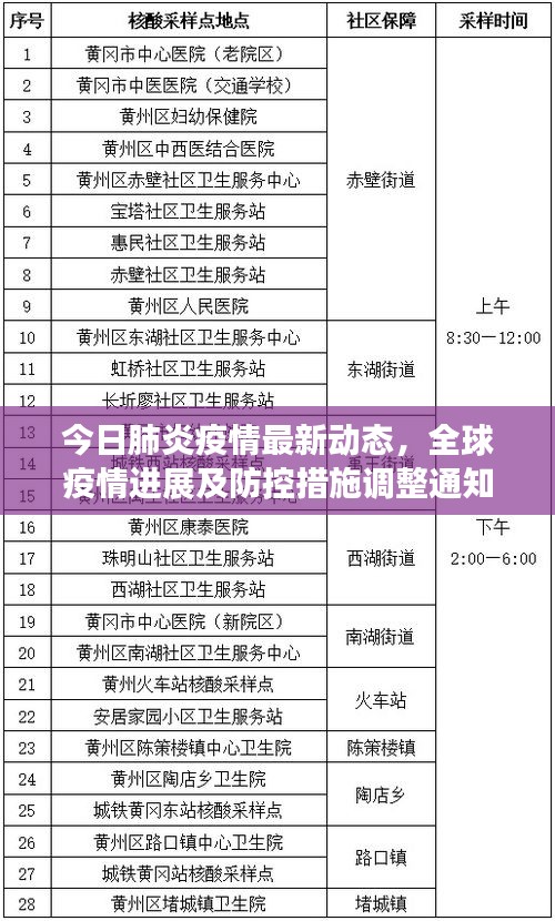 今日肺炎疫情最新动态，全球疫情进展及防控措施调整通知