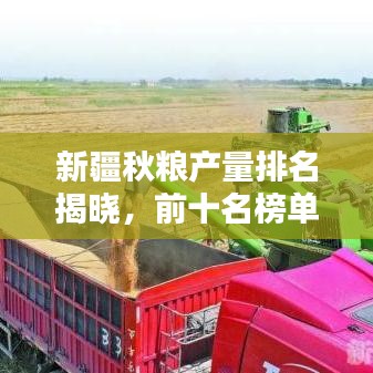 新疆秋粮产量排名揭晓，前十名榜单全解析