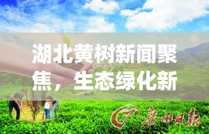 湖北黄树新闻聚焦，生态绿化新篇章开启