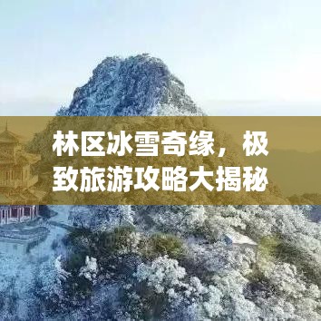 林区冰雪奇缘，极致旅游攻略大揭秘！