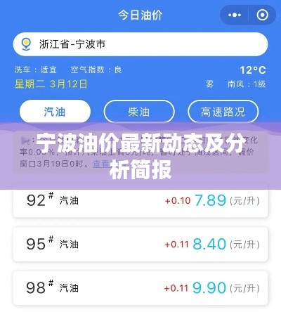 宁波油价最新动态及分析简报