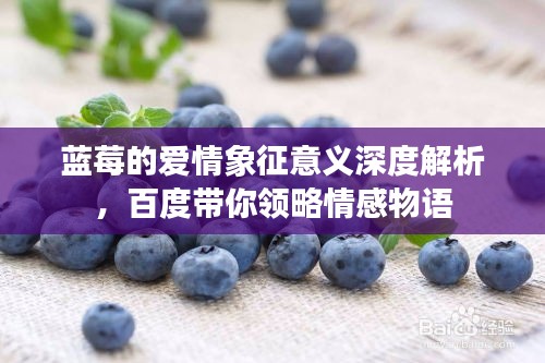 蓝莓的爱情象征意义深度解析，百度带你领略情感物语
