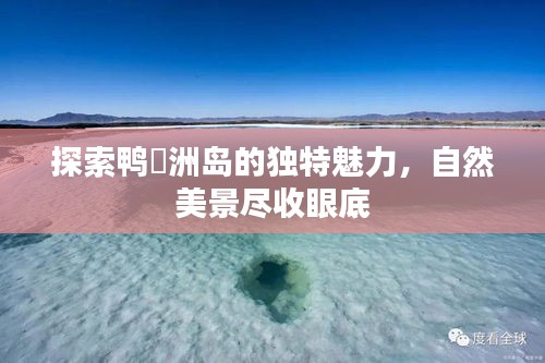 探索鸭脷洲岛的独特魅力，自然美景尽收眼底