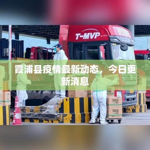 霞浦县疫情最新动态，今日更新消息
