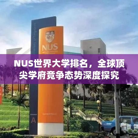 NUS世界大学排名，全球顶尖学府竞争态势深度探究