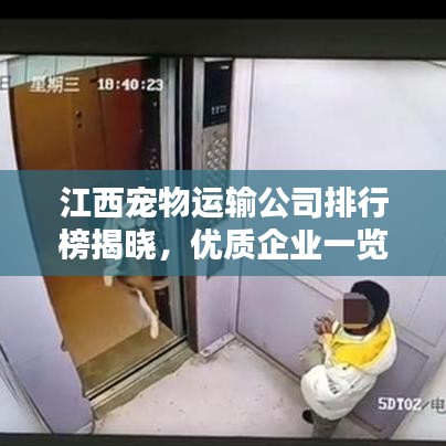 江西宠物运输公司排行榜揭晓，优质企业一览