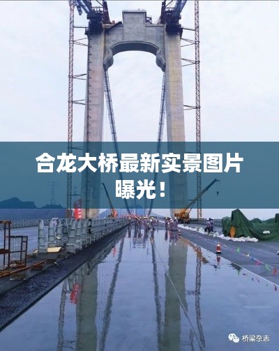 合龙大桥最新实景图片曝光！