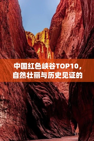 飞鸟惊蛇