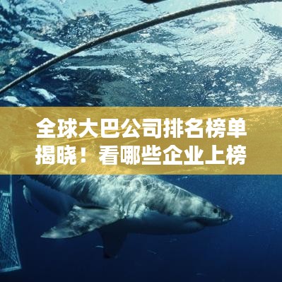 全球大巴公司排名榜单揭晓！看哪些企业上榜