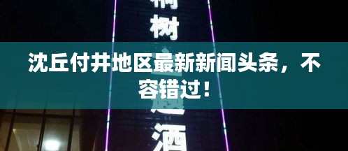 沈丘付井地区最新新闻头条，不容错过！